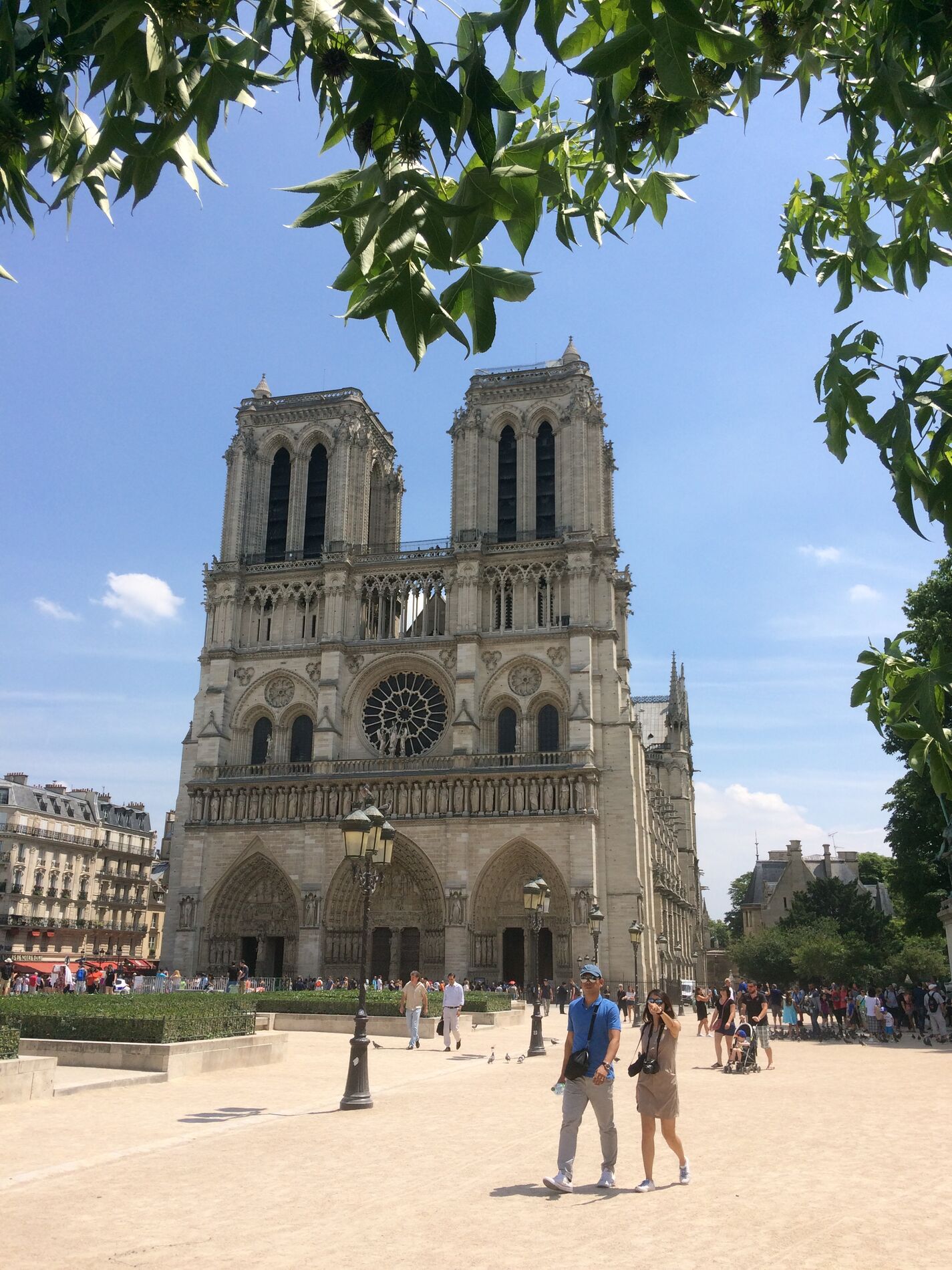 Carpe diem (Notre Dame, Paris, F) / 2017